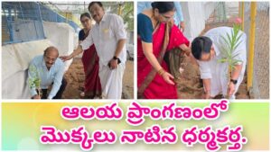 ఆలయ ప్రాంగణంలో మొక్కలు నాటిన ధర్మకర్త.